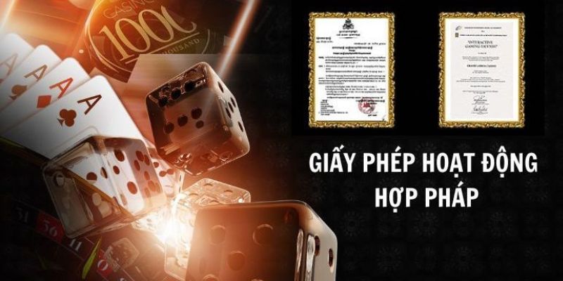 Giấy phép hoạt động Socolive